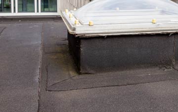 disadvantages of Newcraighall flat roofs